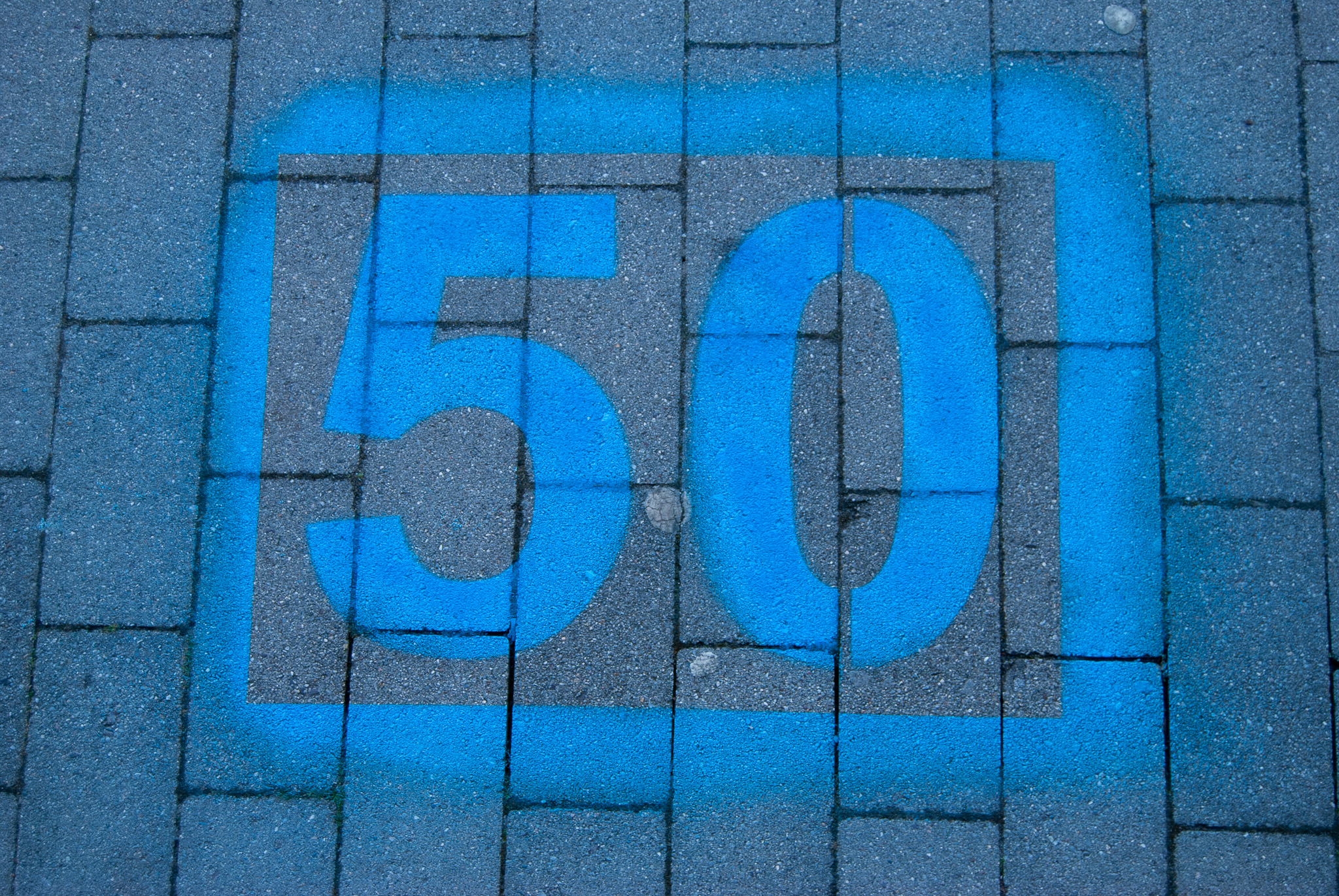 DSC_0048